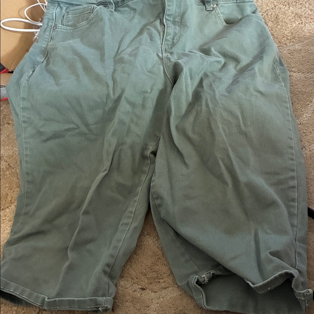 Gloria Vanderbilt Green Capris